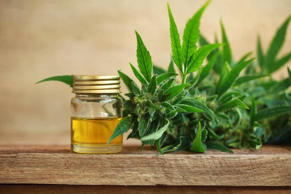 Cannabis oil and hemp — Stock Photo, Image