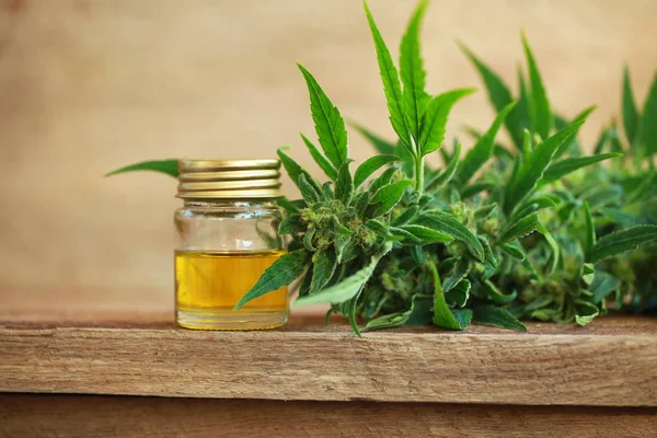 Cannabis oil and hemp — Stock Photo, Image