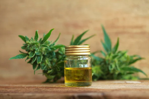 Cannabis oil and hemp — Stock Photo, Image