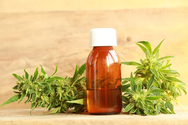 kenevir yağı ve kenevir