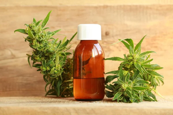 kenevir yağı ve kenevir