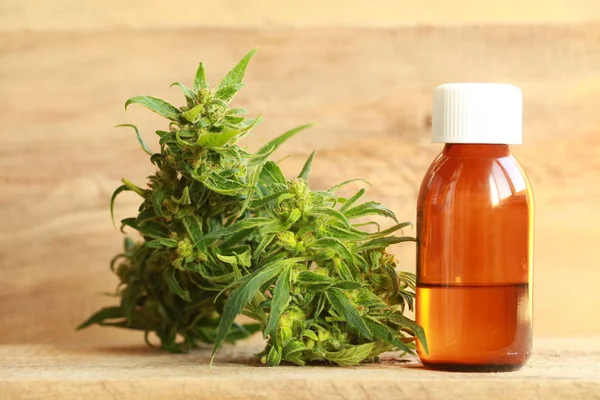 kenevir yağı ve kenevir