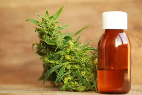 kenevir yağı ve kenevir