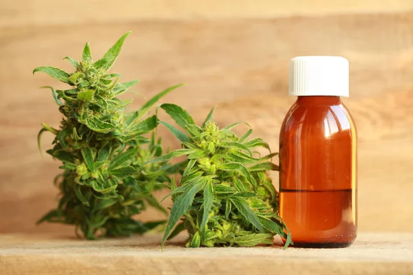 kenevir yağı ve kenevir