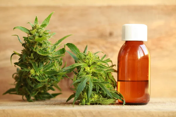 kenevir yağı ve kenevir