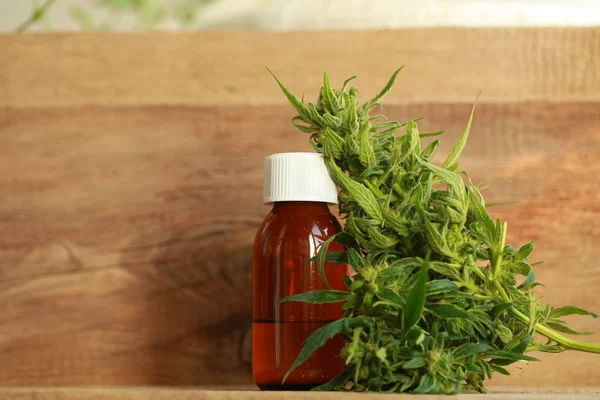 kenevir yağı ve kenevir