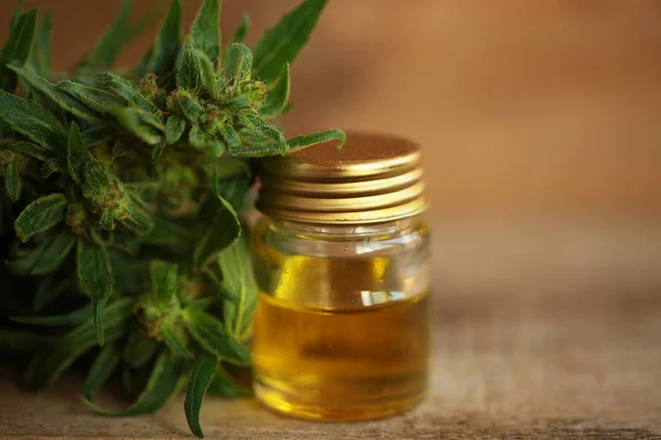 Cannabis oil and hemp — Stock Photo, Image