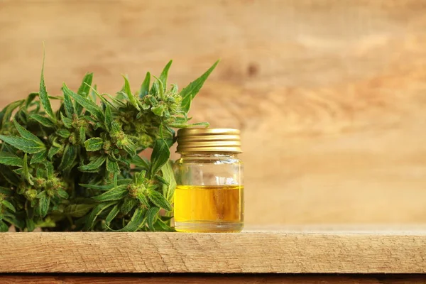 kenevir yağı ve kenevir