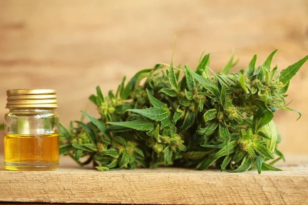 kenevir yağı ve kenevir