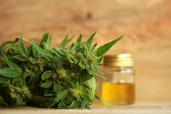 kenevir yağı ve kenevir