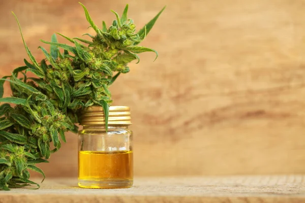 Cannabis oil and hemp — Stock Photo, Image