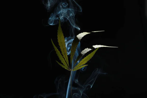 Een groene cannabis blad op een zwarte achtergrond gehuld in rook — Stockfoto
