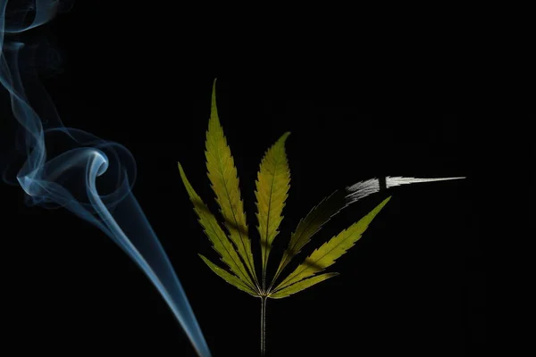 Gröna Cannabis Leaf Svart Bakgrund Höljeförsedda Rök — Stockfoto