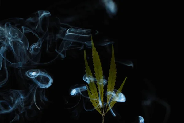 Marihuana Zielony Liść Czarne Tło Ogarnęły Dymu — Zdjęcie stockowe