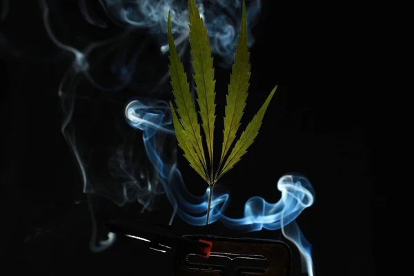 Zöld Kannabisz Levél Fekete Háttér Borítékolják Füst — Stock Fotó