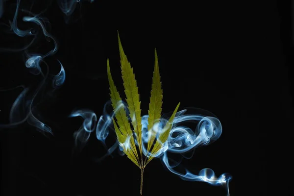 煙に包まれた黒い背景に緑大麻葉 — ストック写真