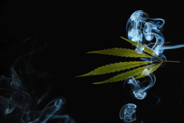 Uma folha de cannabis verde em um fundo preto envolto em fumaça — Fotografia de Stock