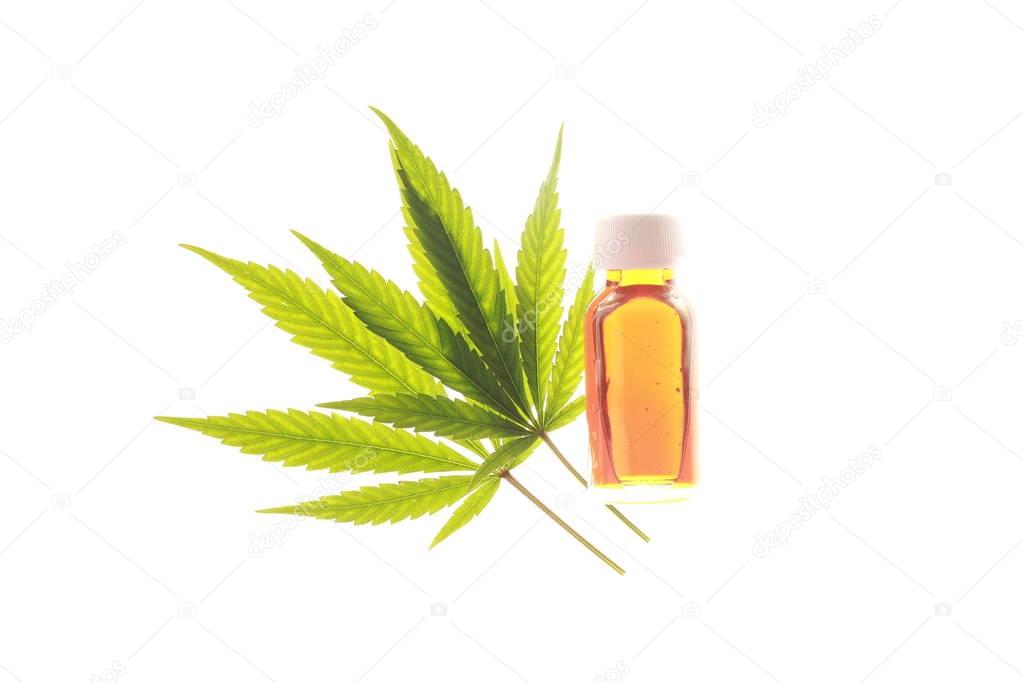 cannabis and hemp oil