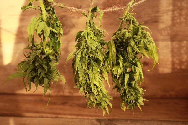 Bud kenevir asılı kurutma