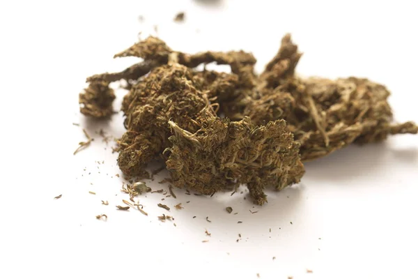 Haxixe Indiano Cânhamo Cannabis — Fotografia de Stock
