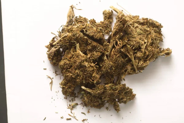 Haxixe Cannabis Cânhamo Maconha Indiana — Fotografia de Stock