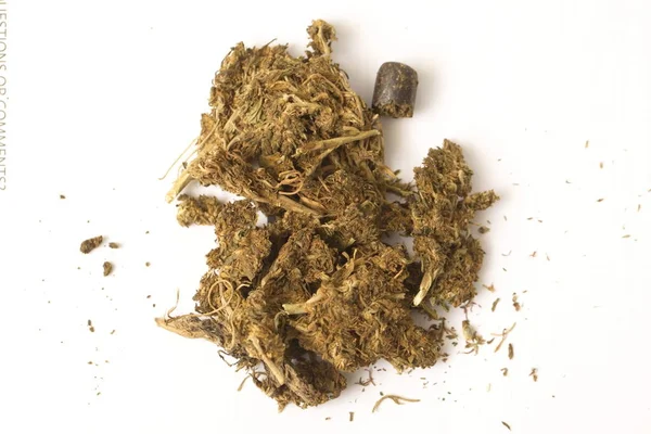 Haschisch Cannabis Hanf Indien — Stockfoto