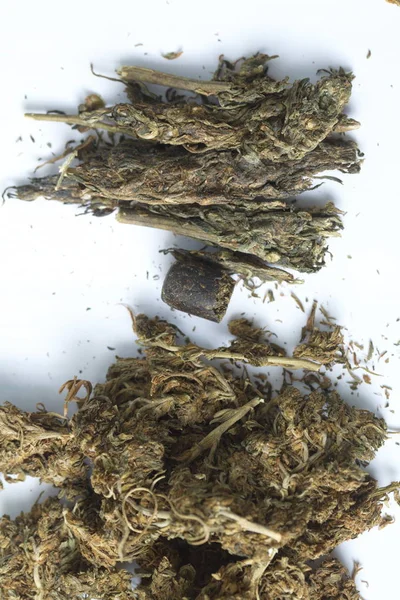 Canapa hashish cannabis — Foto Stock