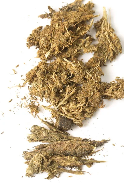 Haxixe Seco Cânhamo Cannabis — Fotografia de Stock