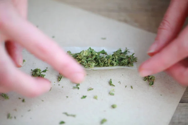 Rolled a cigarette with cannabis — Stock Photo, Image