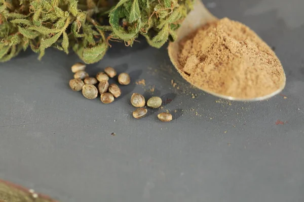 Cannabis Cbd Hemp Seeds Flour — Stock Photo, Image