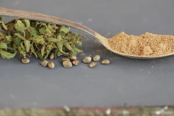 Cannabis cbd cáñamo semillas harina — Foto de Stock