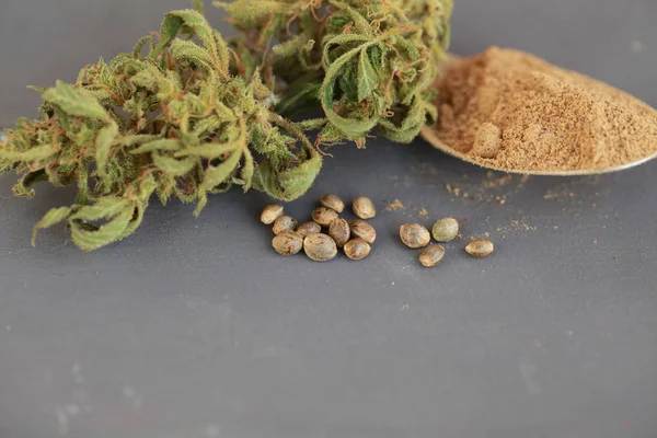 Мука семян конопли CBD конопли — стоковое фото