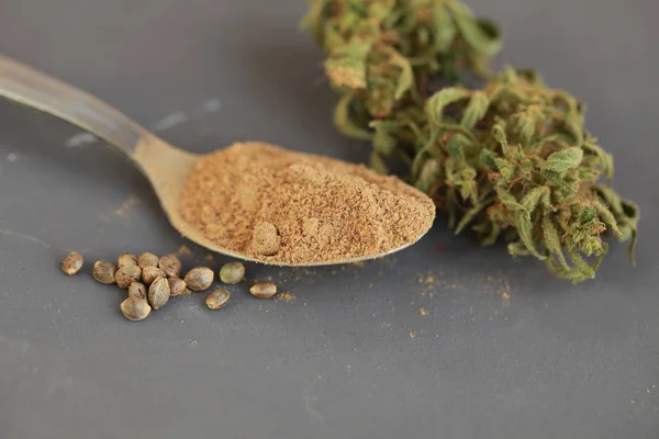 Cannabis cbd graines de chanvre farine — Photo