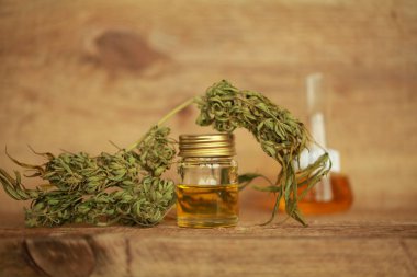 Kenevir yağı cbd kenevir 