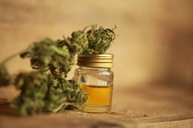 Kenevir yağı cbd kenevir