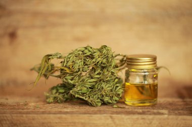 Kenevir yağı cbd kenevir 