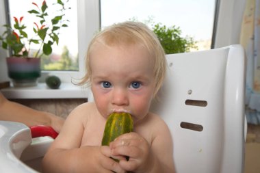 komik tombul sarışın çocuk evdeki mutfakta besleniyor.