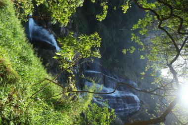 Sri Lanka dağında Rawana şelalesi