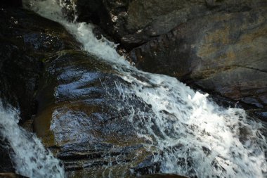 Sri Lanka dağında Rawana şelalesi