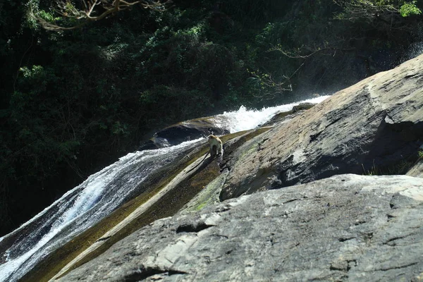 Cascade de Rawana dans la montagne Sri Lanka — Photo