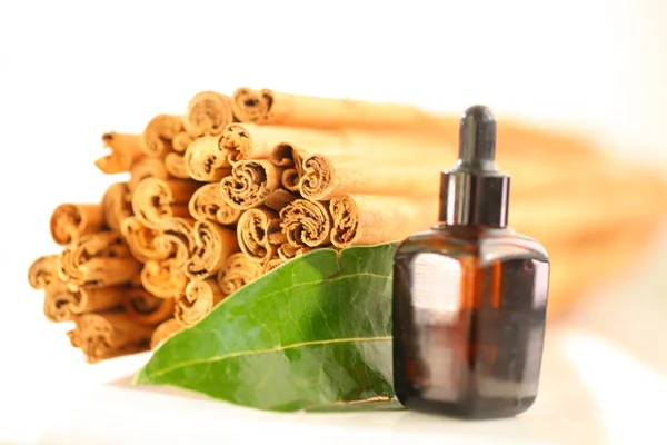 Ceylon cinnamon sticks wholesale packaging — Stock Photo, Image
