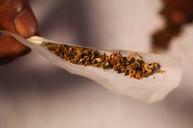Zenci elleri marihuana sarmış. Yakından.