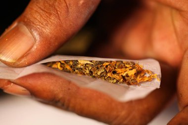 Zenci elleri marihuana sarmış. Yakından.