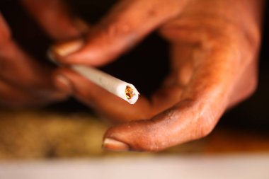 Zenci elleri marihuana sarmış. Yakından.