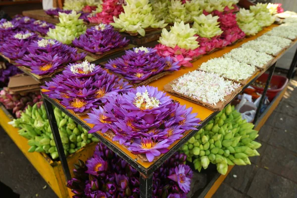 Żywe Płatki Kwiatów Ogrodzie Sri Lanka — Zdjęcie stockowe