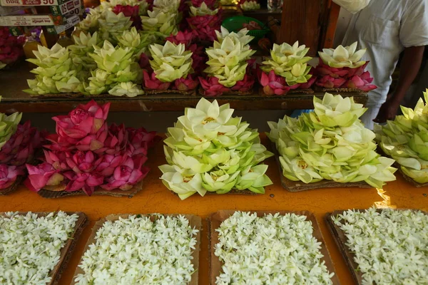 Petali Fiori Vibranti Giardino Sri Lanka — Foto Stock