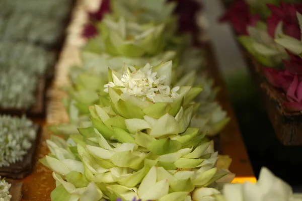 Pétalas Flores Vibrantes Jardim Sri Lanka — Fotografia de Stock