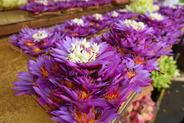 Vibrant Flower Petals Garden Sri Lanka Stock Photo
