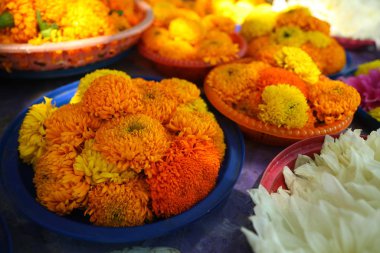 Çiçekler tropik Sri Lanka bahçesinde