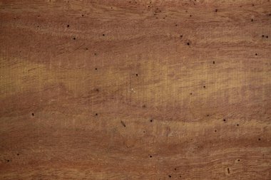 Palmiye ağacı ahşap yüzey dokusu kahverengi